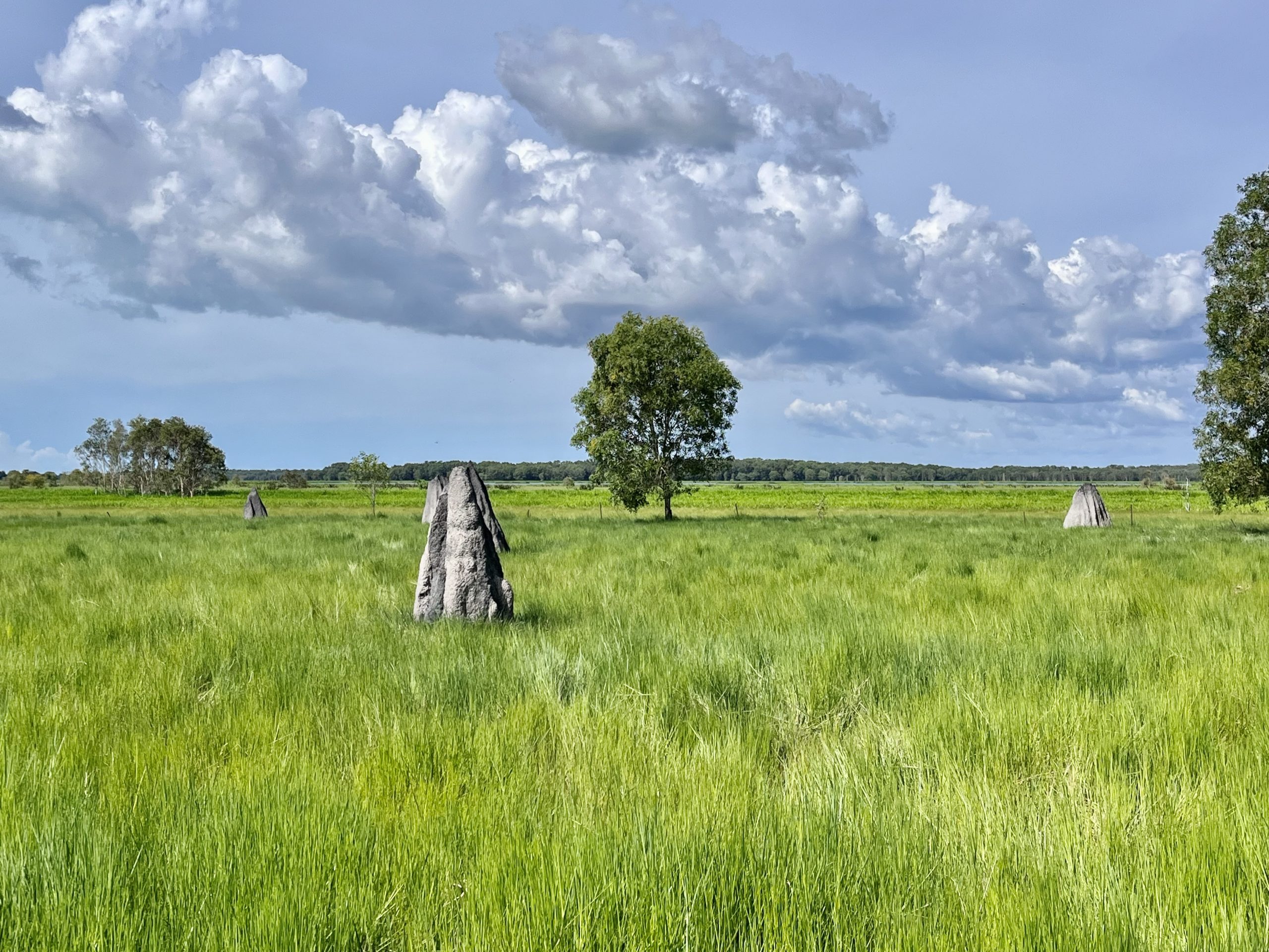 Home - Andrew Gray Land and Livestock